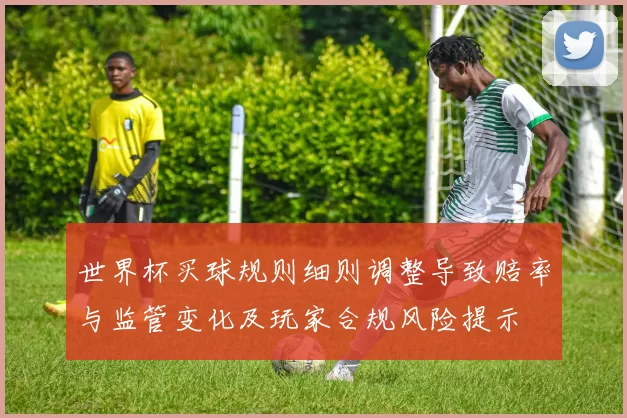 世界杯买球规则细则调整导致赔率与监管变化及玩家合规风险提示