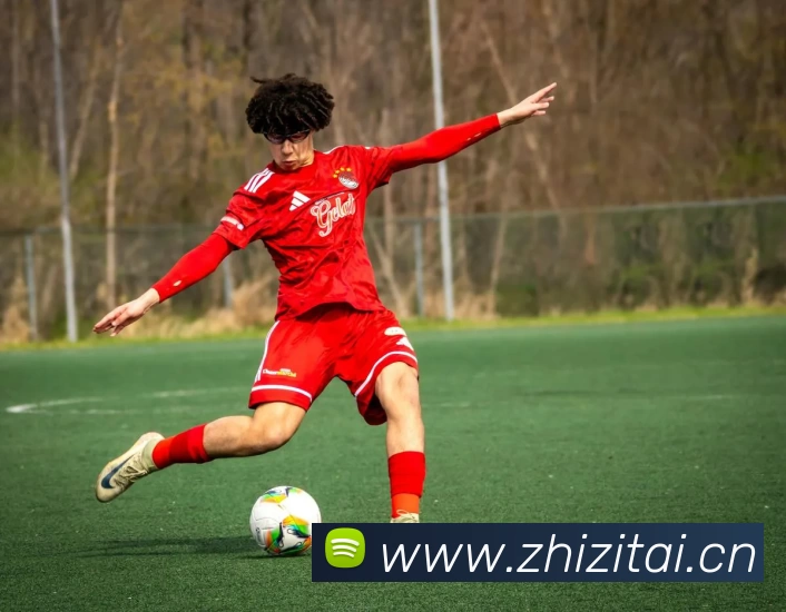 beats365(中国区) - 唯一官方网站平台生态图